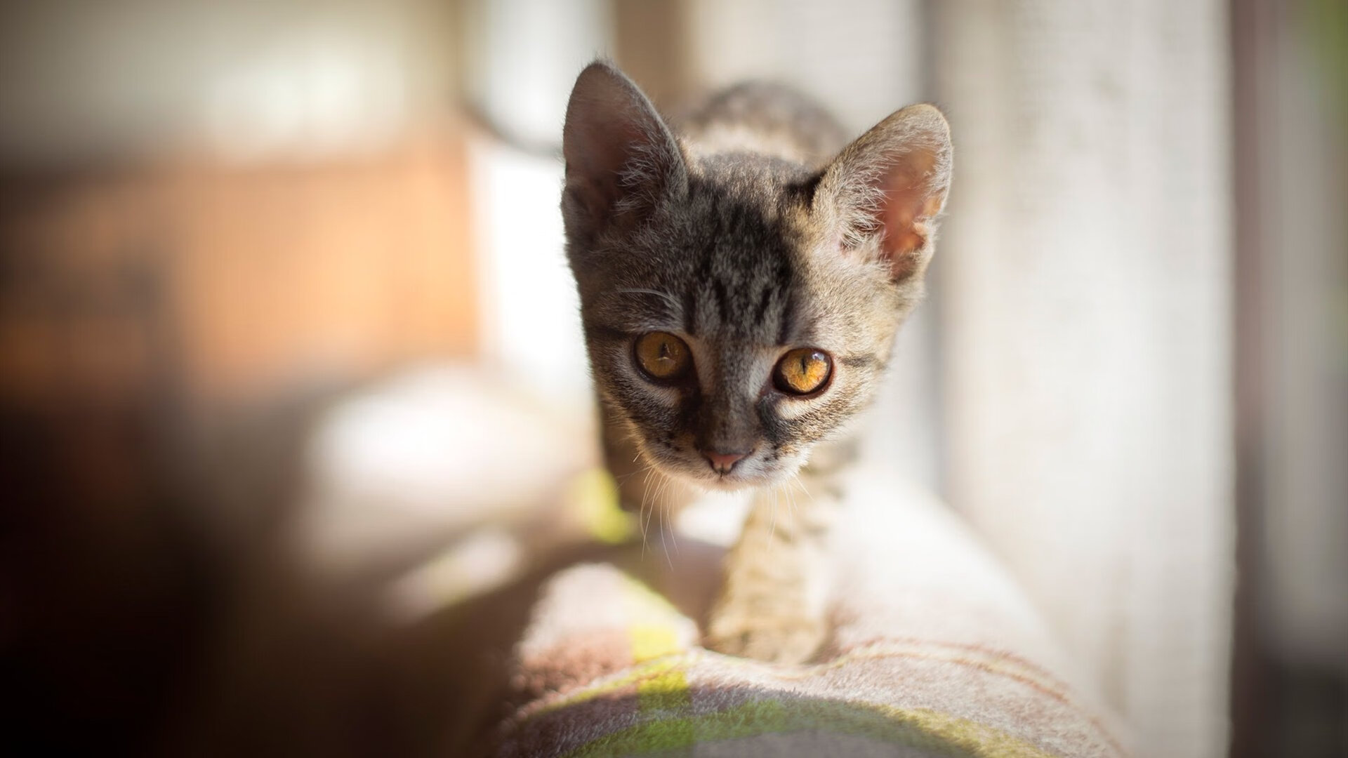 【战术变化】现代棒球策略的发展趋势，棒球技战术